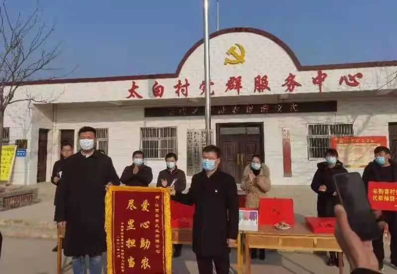 愛心助農(nóng)，盡顯擔(dān)當(dāng)｜圣唐乳業(yè)直購一萬斤富平柿餅