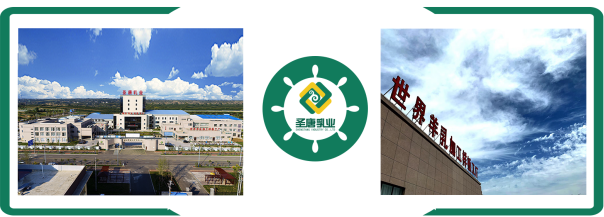 富平縣柿子奶山羊產(chǎn)業(yè)高質(zhì)量發(fā)展大會(huì)召開，圣唐乳業(yè)斬獲三項(xiàng)榮譽(yù)